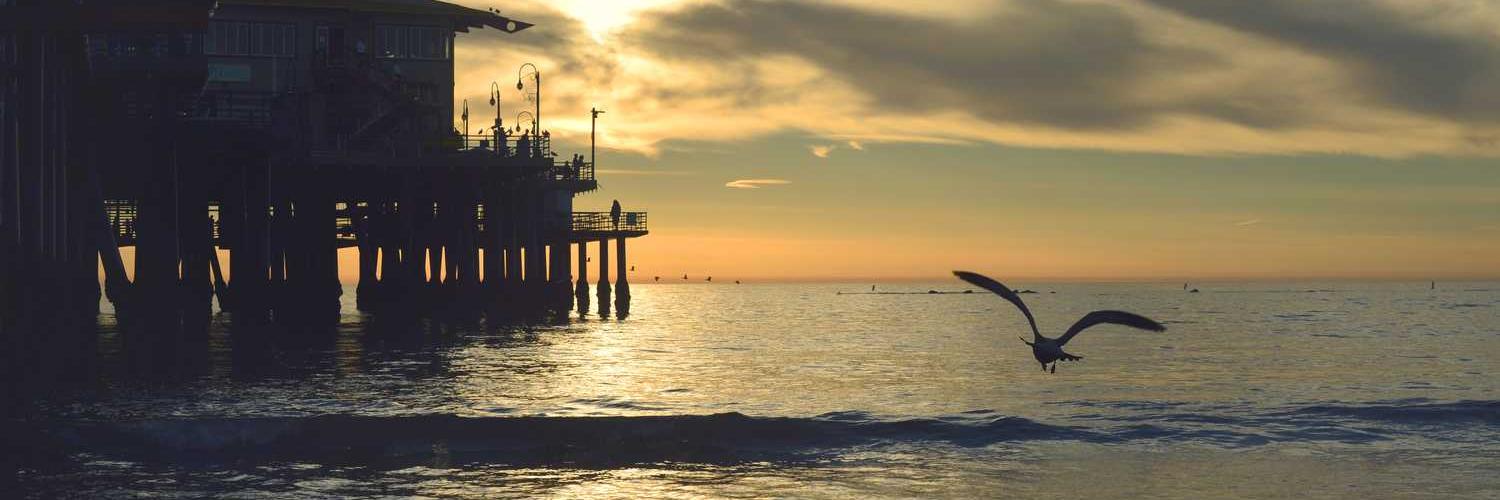 L1400 ❤️ Memecoin banner