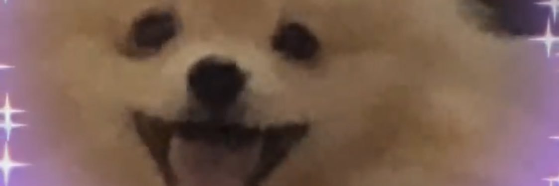 mmmanikhova's profile banner image