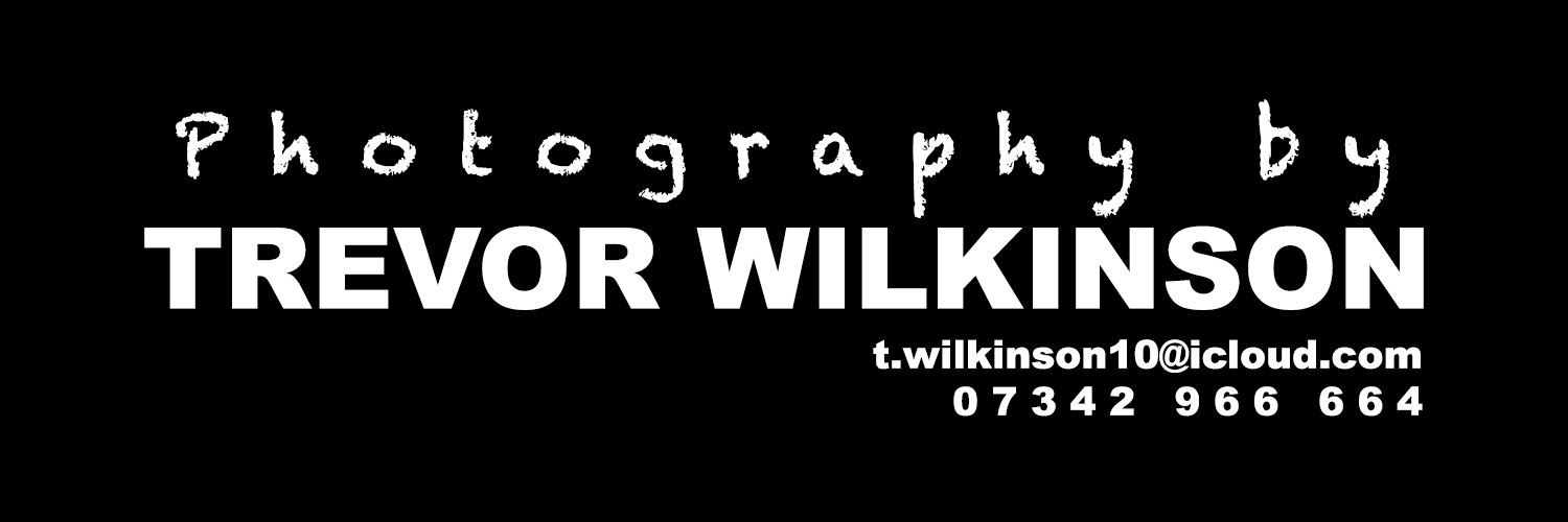 rovert_w's profile banner image