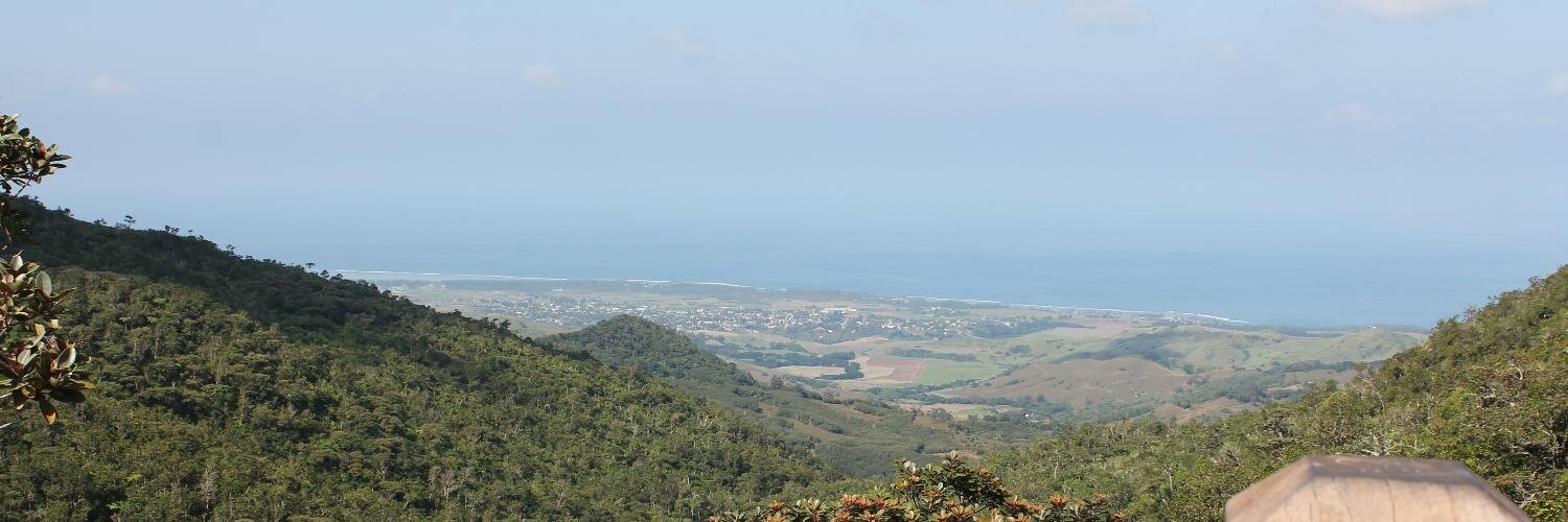 deardheer's profile banner image