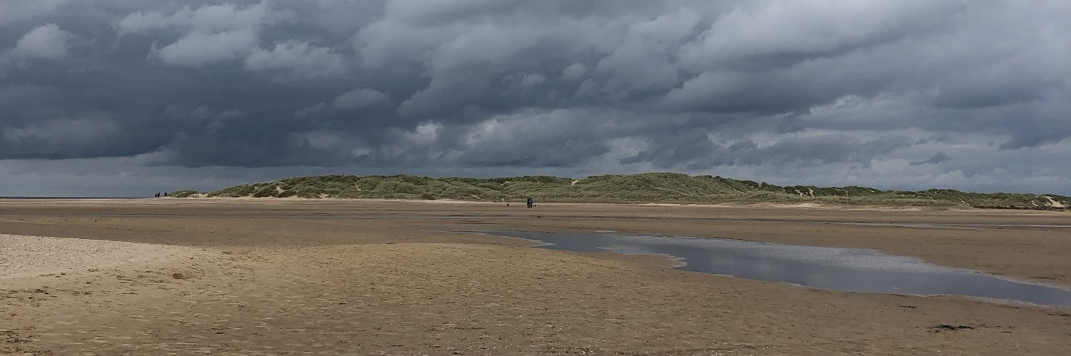 Philippa Williams banner