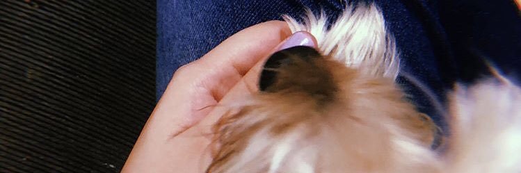 marinacomarin's profile banner image