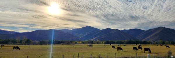FormallyRibeye Profile Banner