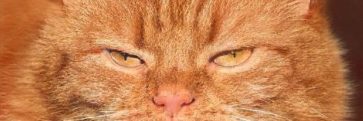 sherri_be's profile banner image