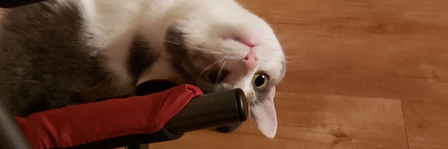 the3rd_boris's profile banner image