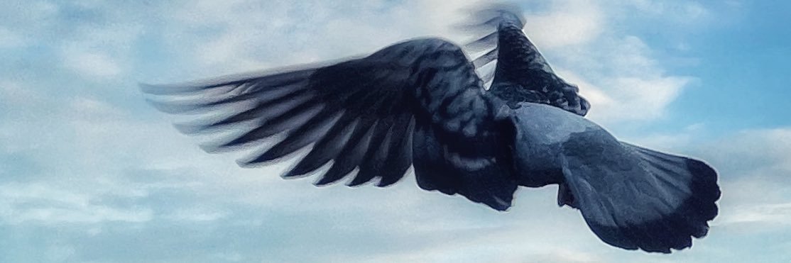 Viktor Funk banner