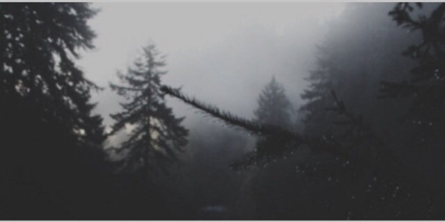 Larry Edits banner