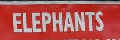 VCElephants's profile banner image