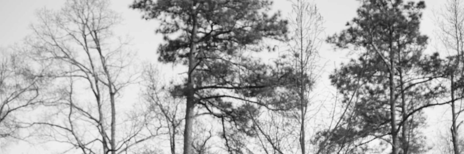 Drew__Hicks's profile banner image
