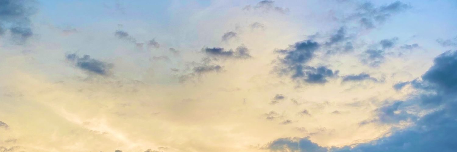 luckyninnii's profile banner image
