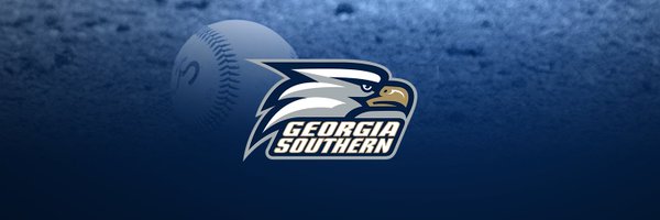 Georgia Southern Baseball Profile Banner