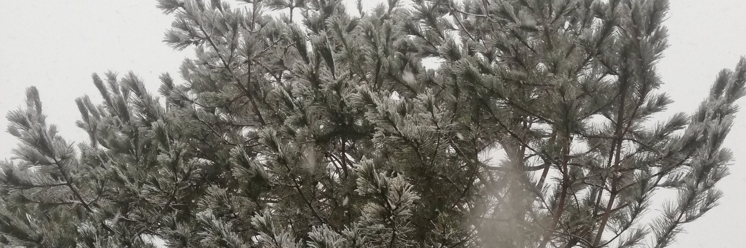 Esra Nur Tabakçı banner