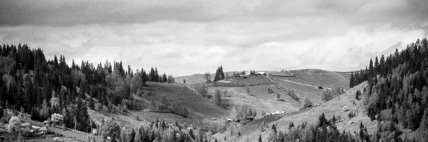 Alina Brand❤️ Memecoin banner