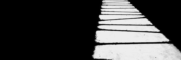 hugo7935 Profile Banner