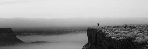SteveBisig Profile Banner