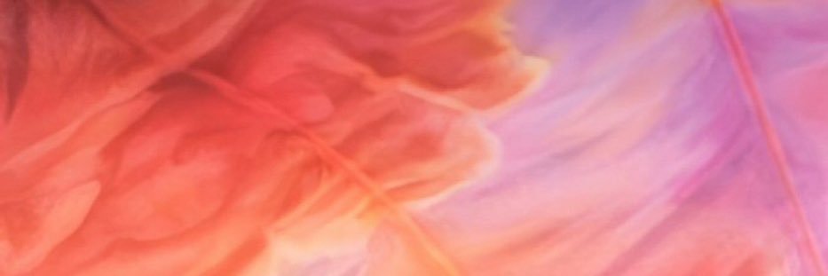 bailey⸆⸉ ❤️‍🔥 banner