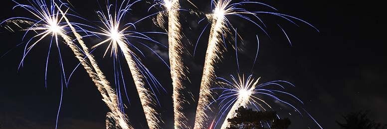 Planmywedding banner