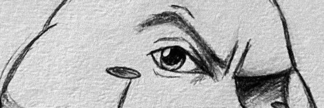 rdtkdykhxxyk banner