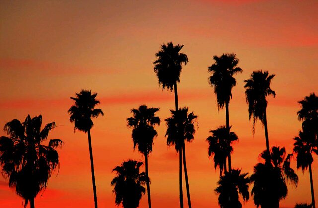 TheHollywoodRPG's profile banner image