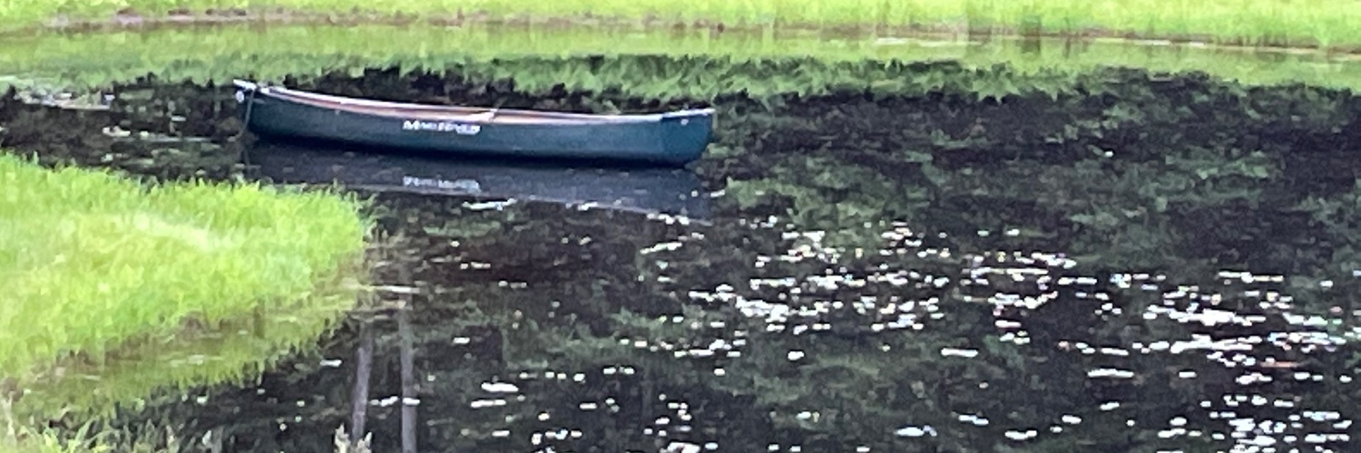 BVAlpineLodge's profile banner image