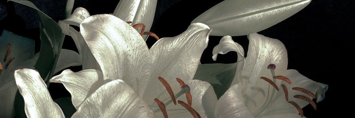 1edaad's profile banner image