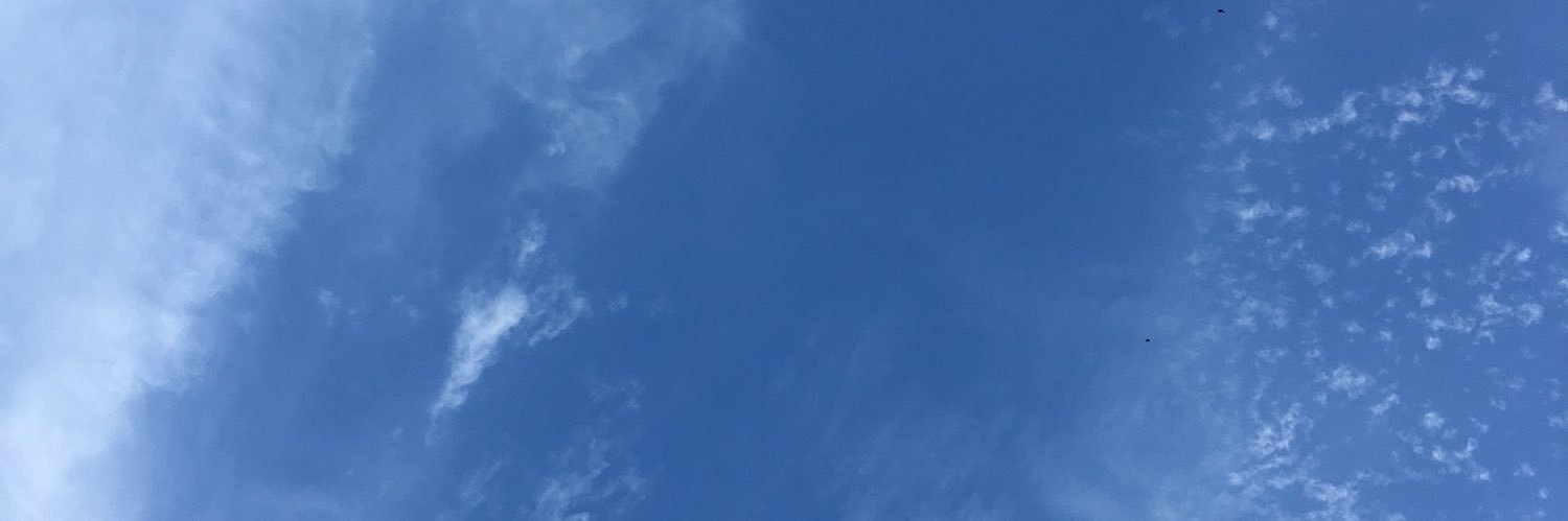 Max banner