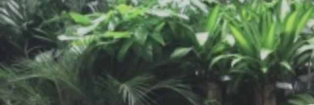 normanikid's profile banner image