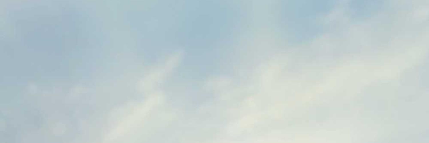 sam roseq❤️ Memecoin banner