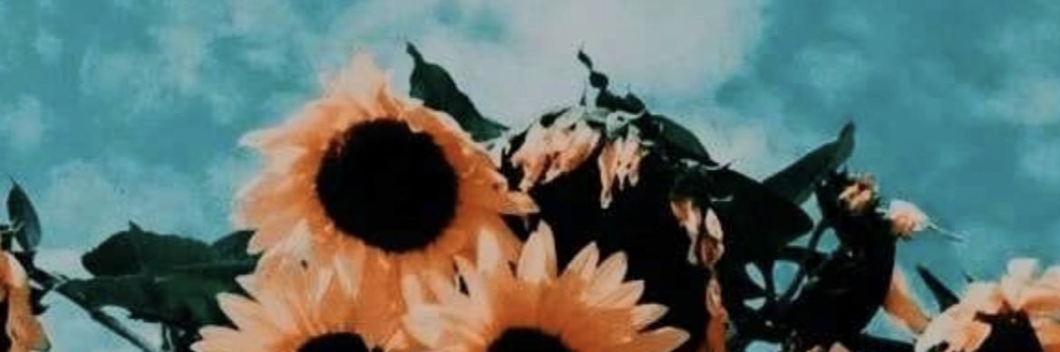 masumaaaaaaa's profile banner image