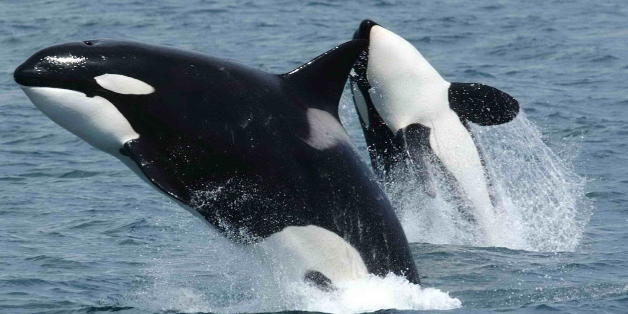 Margaret M. Hernandez banner