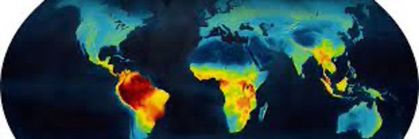 ManyZoosProject Profile Banner