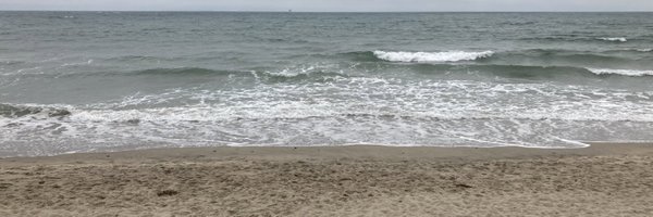 MsBecker Profile Banner