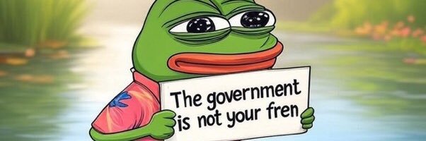 🇺🇸Silly Girl 🇺🇸's banner