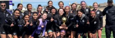 Michelle Naderman banner