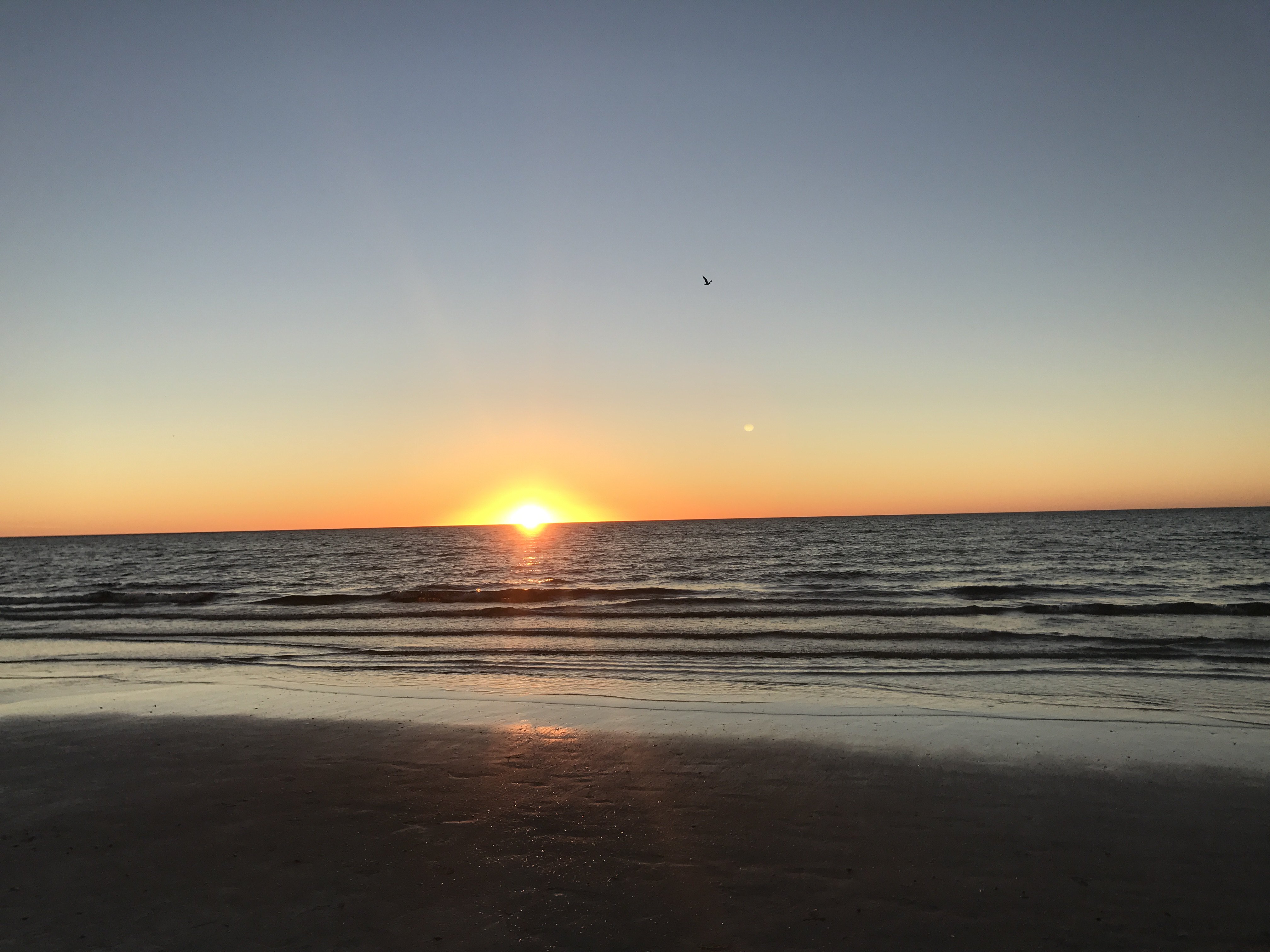 Santonu Sanyal banner