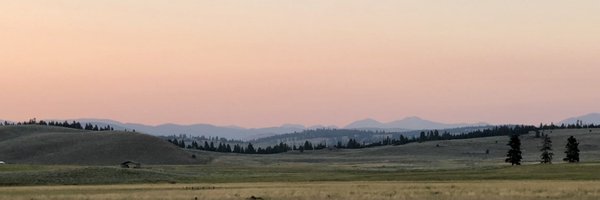 ElenaBennett Profile Banner