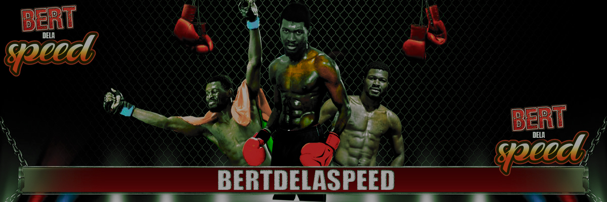 bertdelaspeed's profile banner image