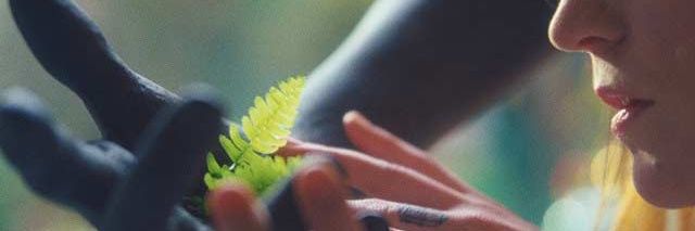 bollito The Ninth 🍂 banner