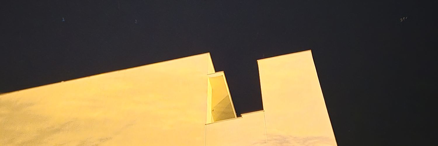 銀河魚's banner