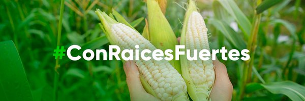 CaadesSinaloa Profile Banner