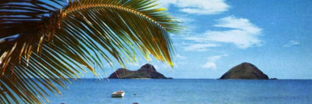 saxmanscott's profile banner image