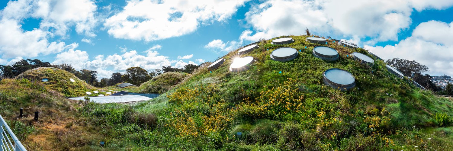 California Academy of Sciences Profile Banner