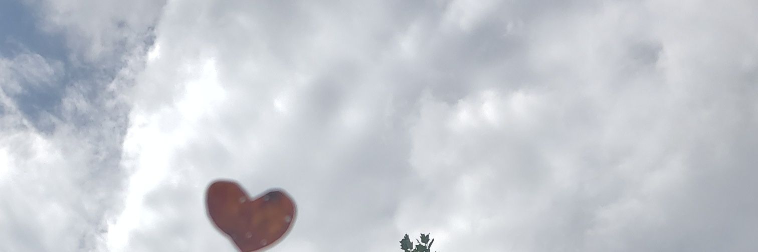 psykorida's profile banner image