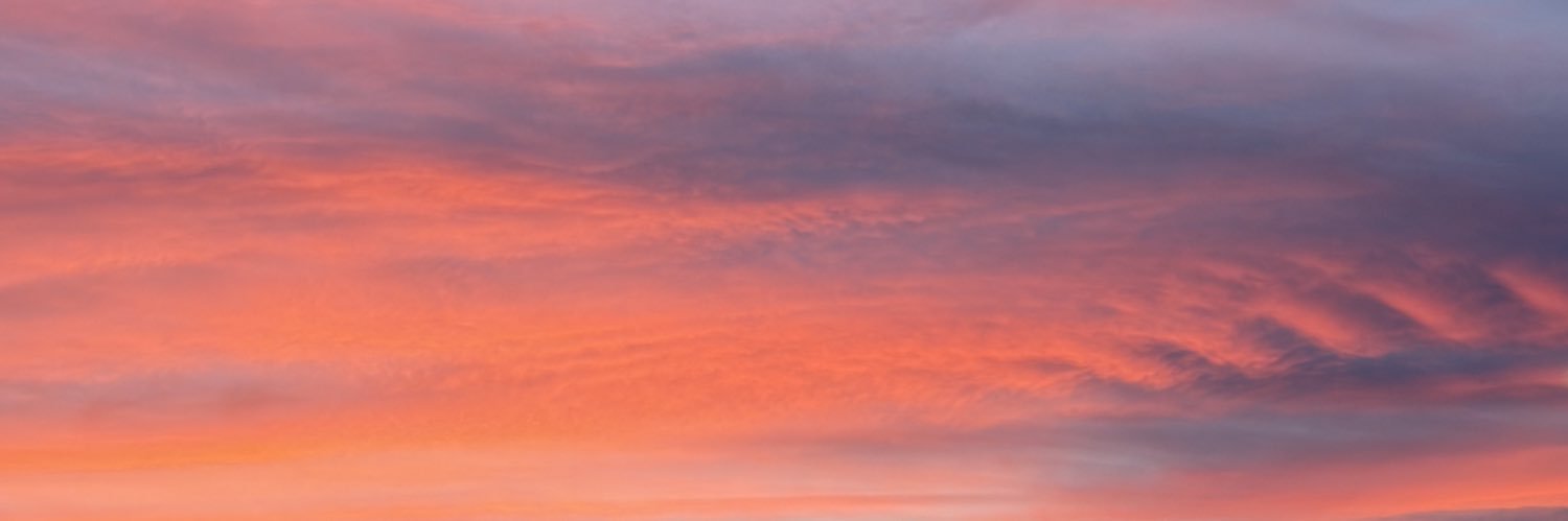 s_danielle3's profile banner image