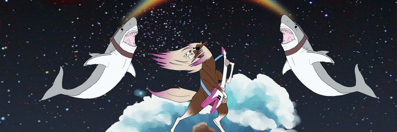 dwerner314's profile banner image