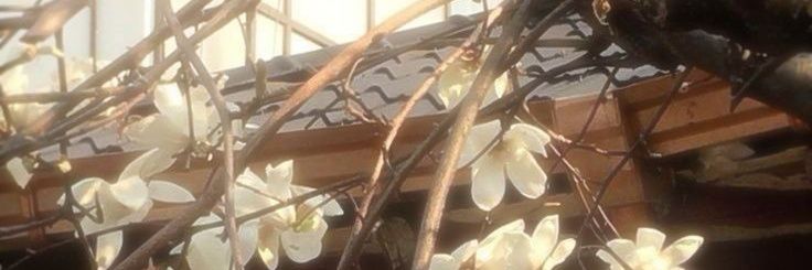 ᶻ 𝘇 𐰁 ⋆ banner