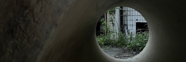 h1n74 Profile Banner