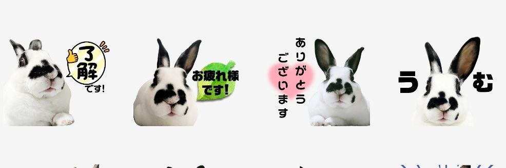 katochie's profile banner image