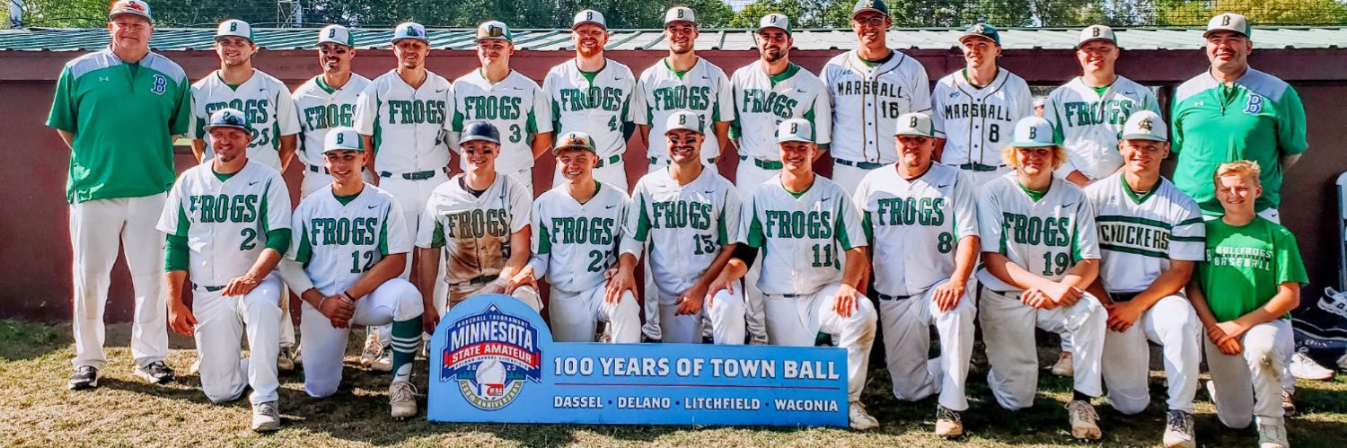 birdislandfrogs's profile banner image
