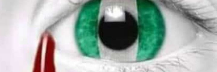abosede_m's profile banner image